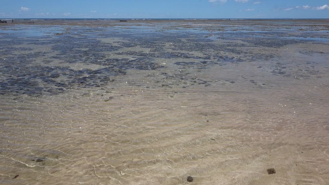 썰물 때 얕은 해저의 정적인 전망