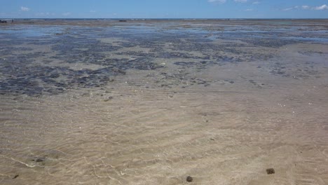 Vista-Estática-Sobre-El-Fondo-Marino-Poco-Profundo-Durante-La-Marea-Baja