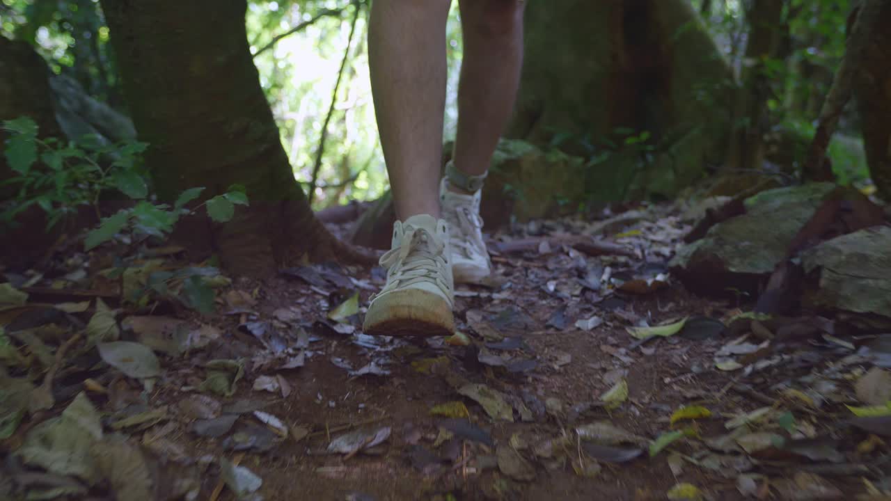 cerca de las piernas del excursionista masculino caminando en el bosque