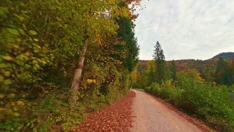 driving down a dirt mountain road in autumn