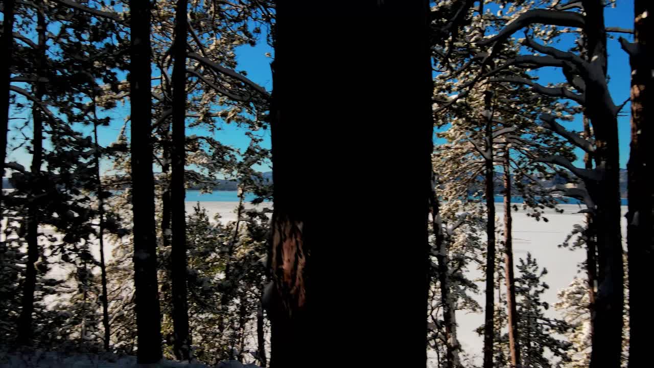 levantamiento aéreo de bienes raíces residenciales de invierno, árbol nevado, lago y casas