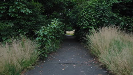 abandoned playground and park pathway