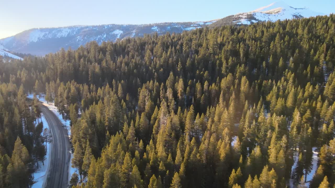 Un drone riprende una strada asfaltata che si snoda attraverso una pineta in montagna in una soleggiata giornata invernale.