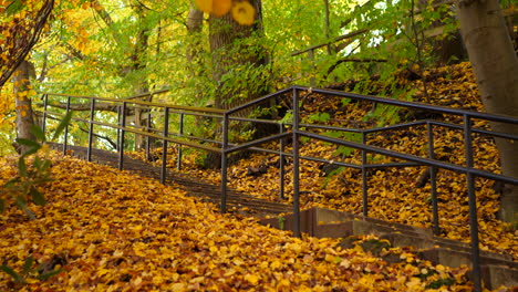 Hojas-De-Otoño-En-Las-Escaleras-Del-Parque