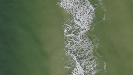 antena de olas del océano rodando a lo largo de una pared viva vertical