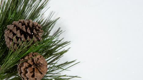 Animation-of-snow-falling-over-close-up-of-pine-cones