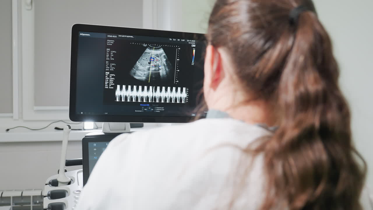 Radiologic technologist with brown hair examines sound wave patterns displayed on ultrasound machine monitor while conducting medical scan procedure with diagnostic equipment and real-time imaging