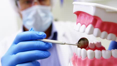 dentista sosteniendo y examinando un modelo de boca