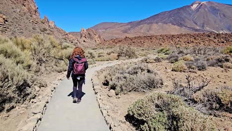 a person hiking on a scenic path at roques de garcia, teide national park, spain