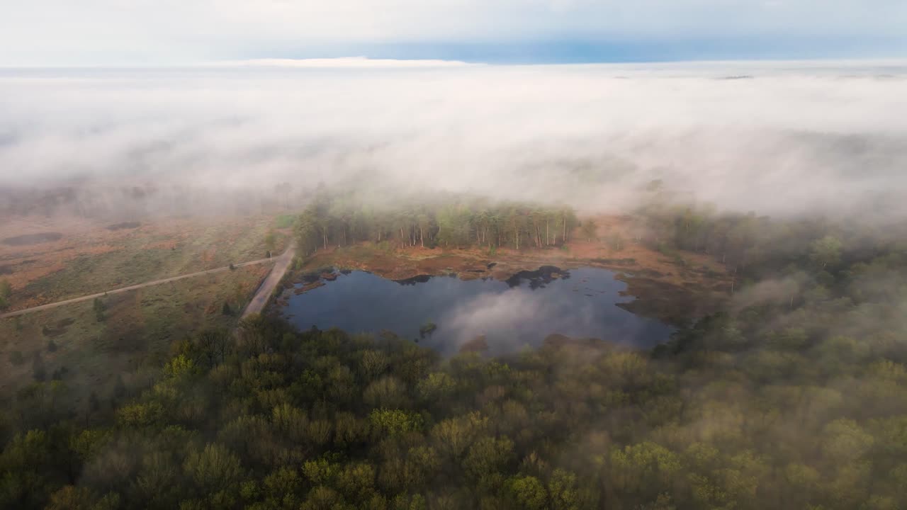 호수 와 함께 안개 숲 풍경
