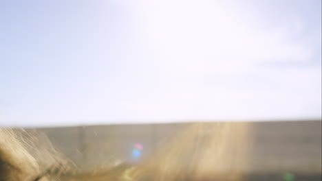 beautiful girl driving vintage car on road trip