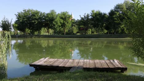 pequeño muelle vacío en un estanque de peces tranquilo, día soleado