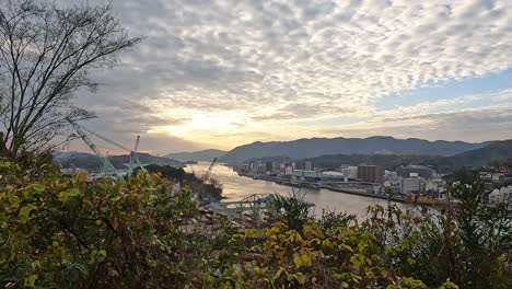 beautiful view above tree tops onto onomichi harbor hiroshima prefecture