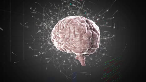 animación del cerebro humano sobre procesamiento de datos y conexiones
