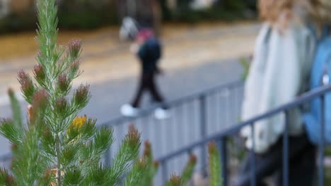 individuals walking past a blurred background