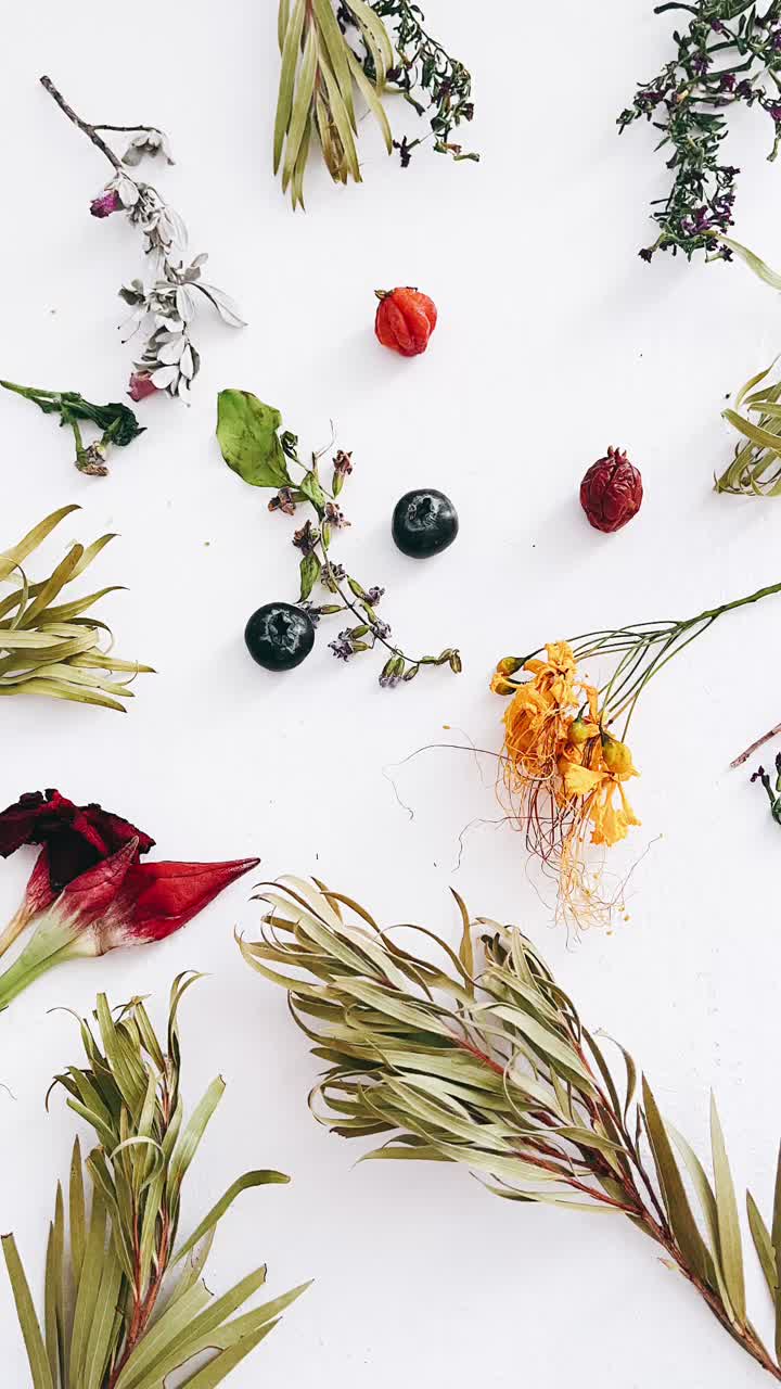 arreglo floral seco sobre fondo blanco