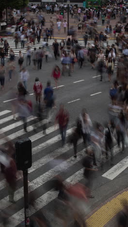 intersection in shibuya, tokyo in vertical