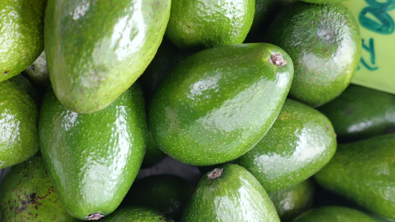 아보카도 무더기