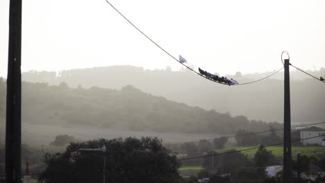 los pájaros se sientan en un cable eléctrico alto con el paisaje del atardecer en el fondo