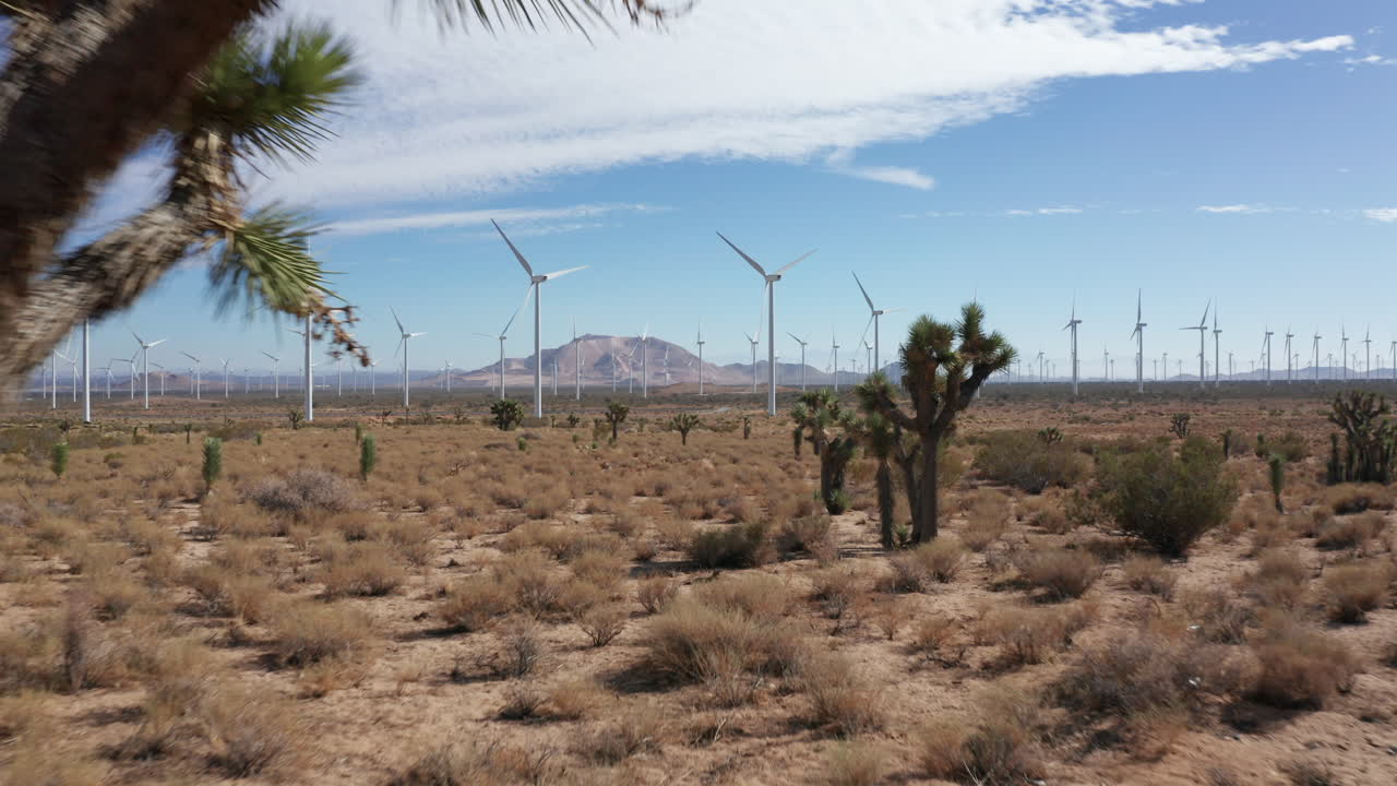 la cámara avanza más allá de las plantas del desierto para revelar una granja solar