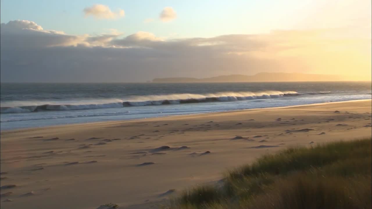 escenas del desierto de point reyes a lo largo del océano pacífico en california