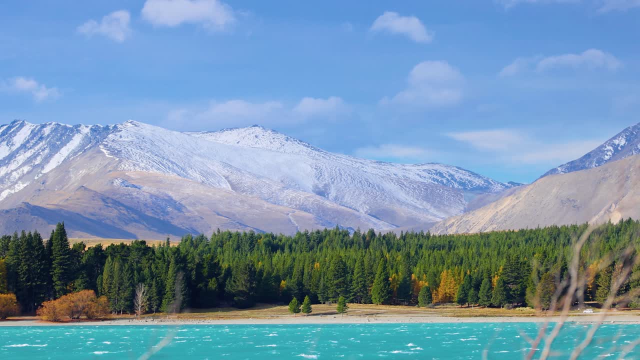 Wide panning shot reveals snow-covered mountains, turquoise lake, and pine forest under bright daylight at Lake Tekapo, New Zealand. Smooth camera movement, vibrant autumn colors