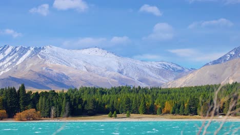Wide panning shot reveals snow-covered mountains, turquoise lake, and pine forest under bright daylight at Lake Tekapo, New Zealand. Smooth camera movement, vibrant autumn colors