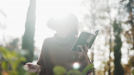 hermosos rayos de sol brillando en una chica negra mientras lee una novela en otoño