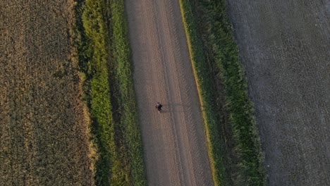 joven en una caminata nocturna a lo largo de un camino rural recto y polvoriento en la zona rural de alberta