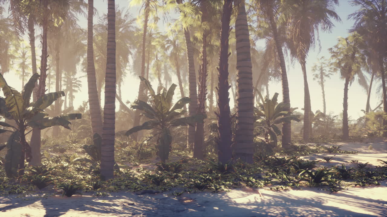 A Lush Tropical Beach