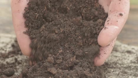 pair of hands in soil