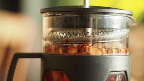 Brewing Tea in a French Press