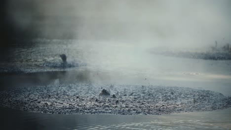 boiling hot geothermal volcanic mud pool, closeup shot steamy lake bubbling mud and steam satisfying