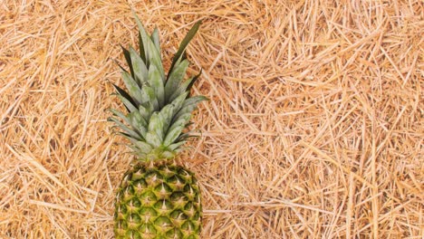 pineapple rolling on straw theme. stop motion