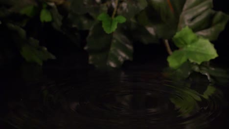 Gotas-De-Agua-Caen-En-Un-Charco-A-Cámara-Lenta,-180-Fps