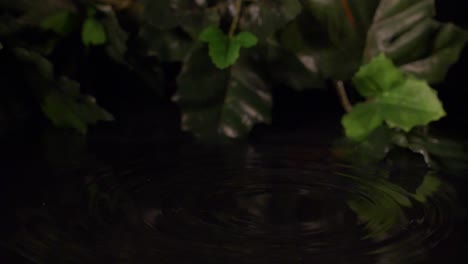 gotas de agua caen en un charco a cámara lenta, 180 fps