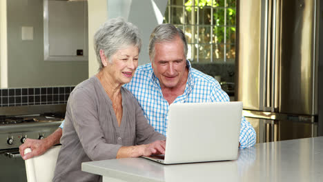 senior couple using laptop