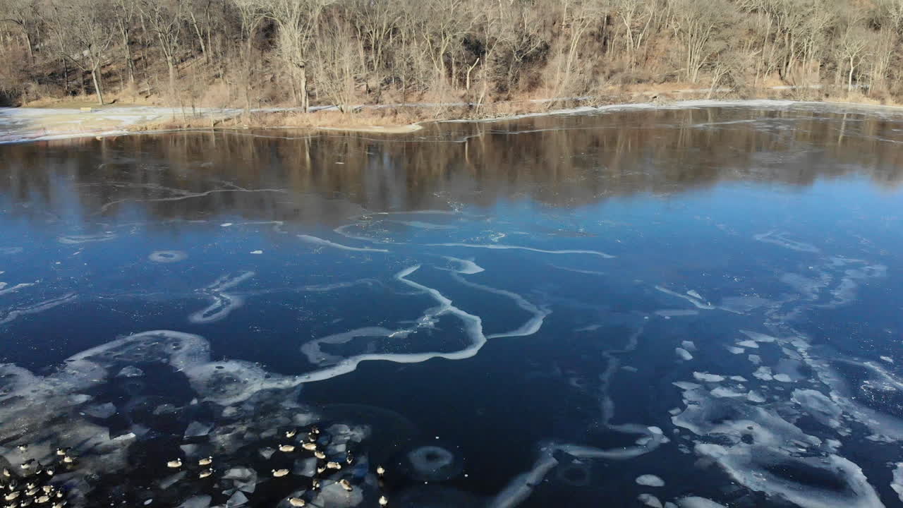 부분적으로 얼어붙은 호수 가장자리를 따라 헤엄치는 거위 무리 위로 날아가는 드론