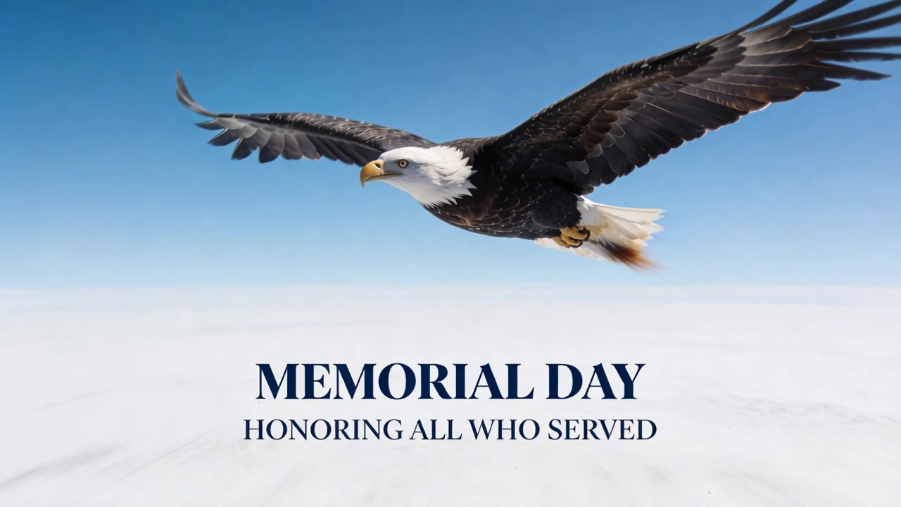 Aquila calva che plana, iniziando a battere le ali, muovendosi sopra le nuvole e passando il MEMORIAL DAY in onore del servizio.