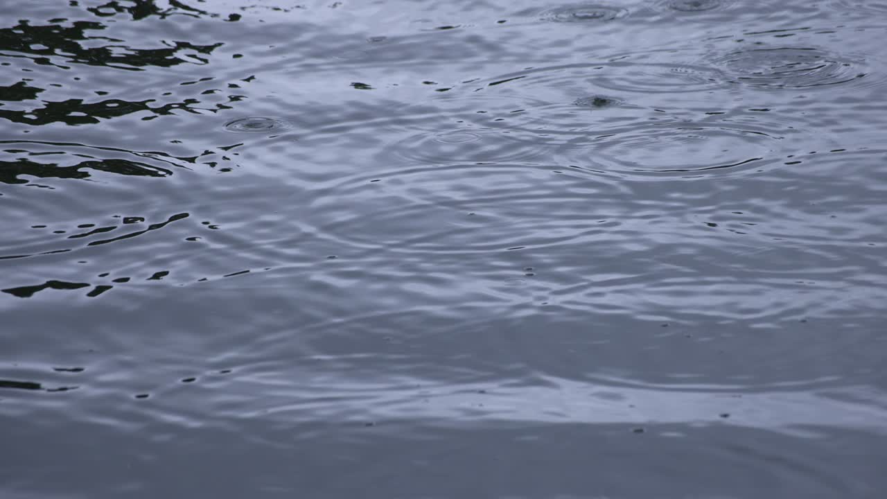 물속의 방울의 느린 움직임 연못의 비가 오는 날