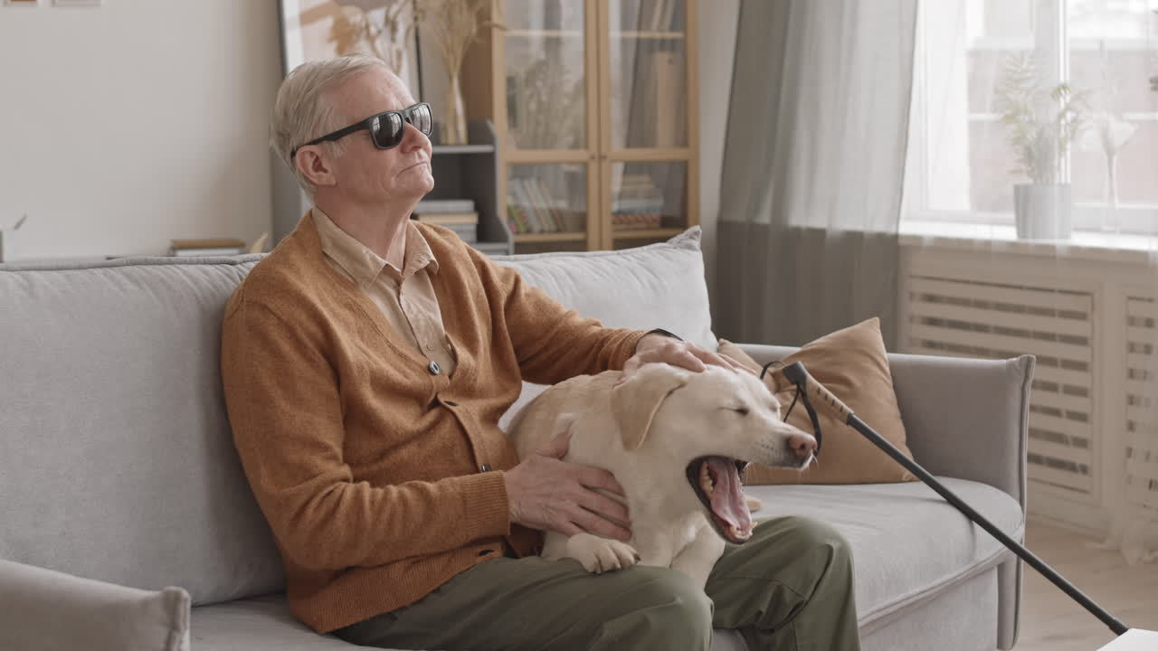 Blind Old Man with Labrador Retriever at Home