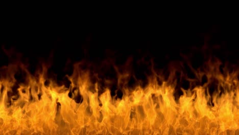 fire flames on black background. burning fire flame. abstract background on the theme of fire, light and life. fiery orange glowing. strong fire. big burning bonfire. burning fields. loop 4k