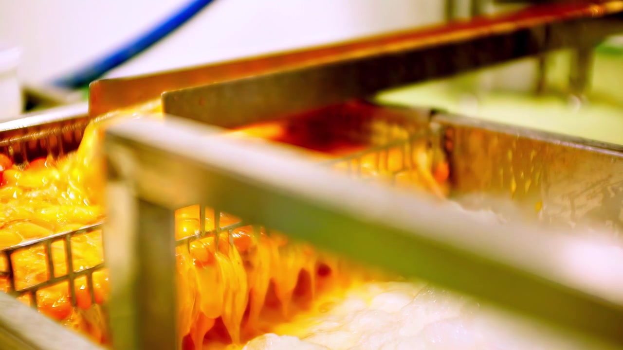 Egg yolks moving through automated poultry processing machine in food facility