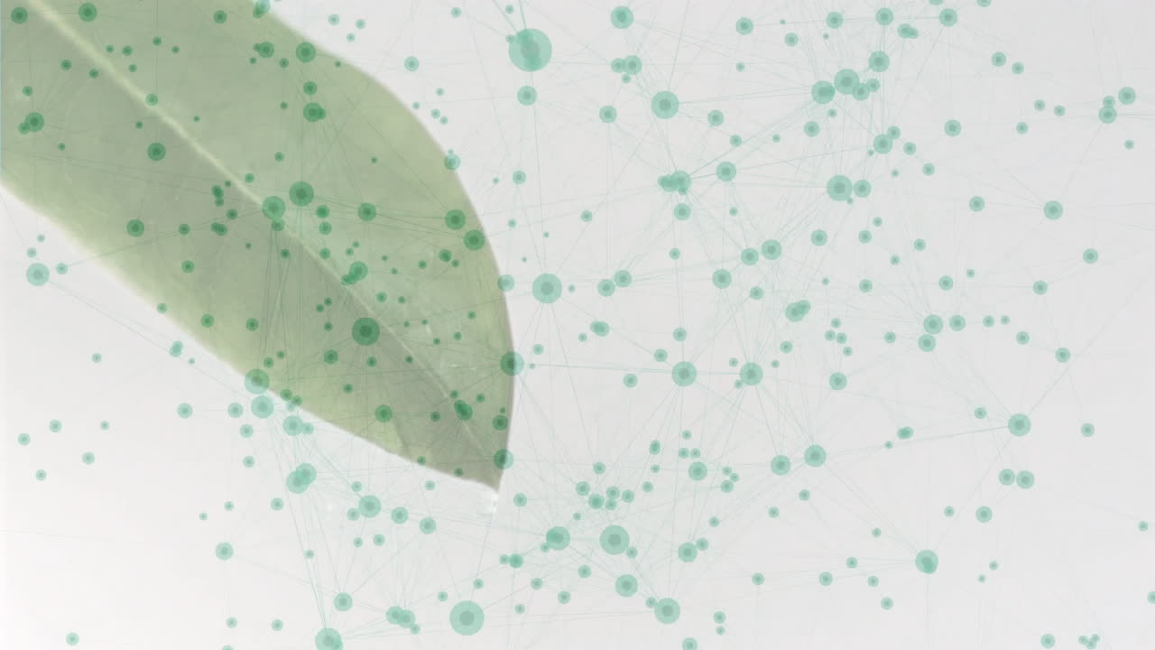 Animation of green leaf with network of interconnected dots and lines