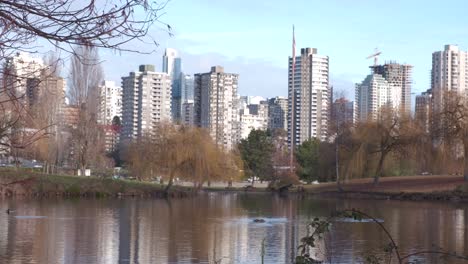 tilting up shot of ducks by the water, a flag pole with the canadian flag and apartment buildings in the background on a sunny winter day (4k)