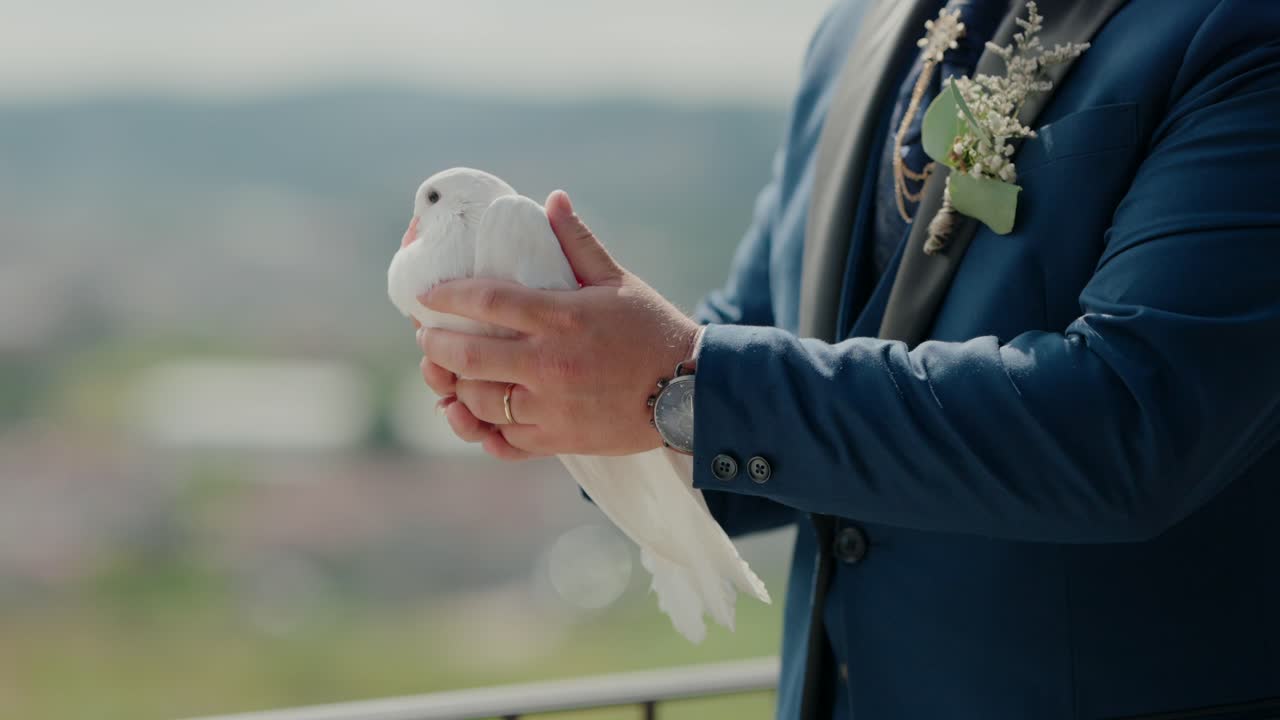 person in suit gently holds white dove ready for symbolic release during celebration