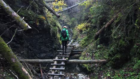 Luftaufnahmen-Von-Drohnen,-Die-Einer-Frau-Beim-Wandern-Auf-Einer-Leiter-Im-Slowakischen-Paradies-Folgen