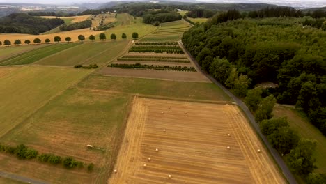 vuelo de drones sobre el paisaje agrícola