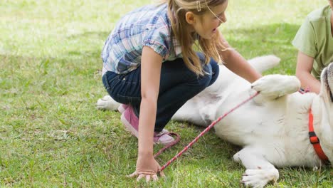 Happy-caucasian-brother-and-sister-playing-with-pet-dog,-lying-on-grass-in-park