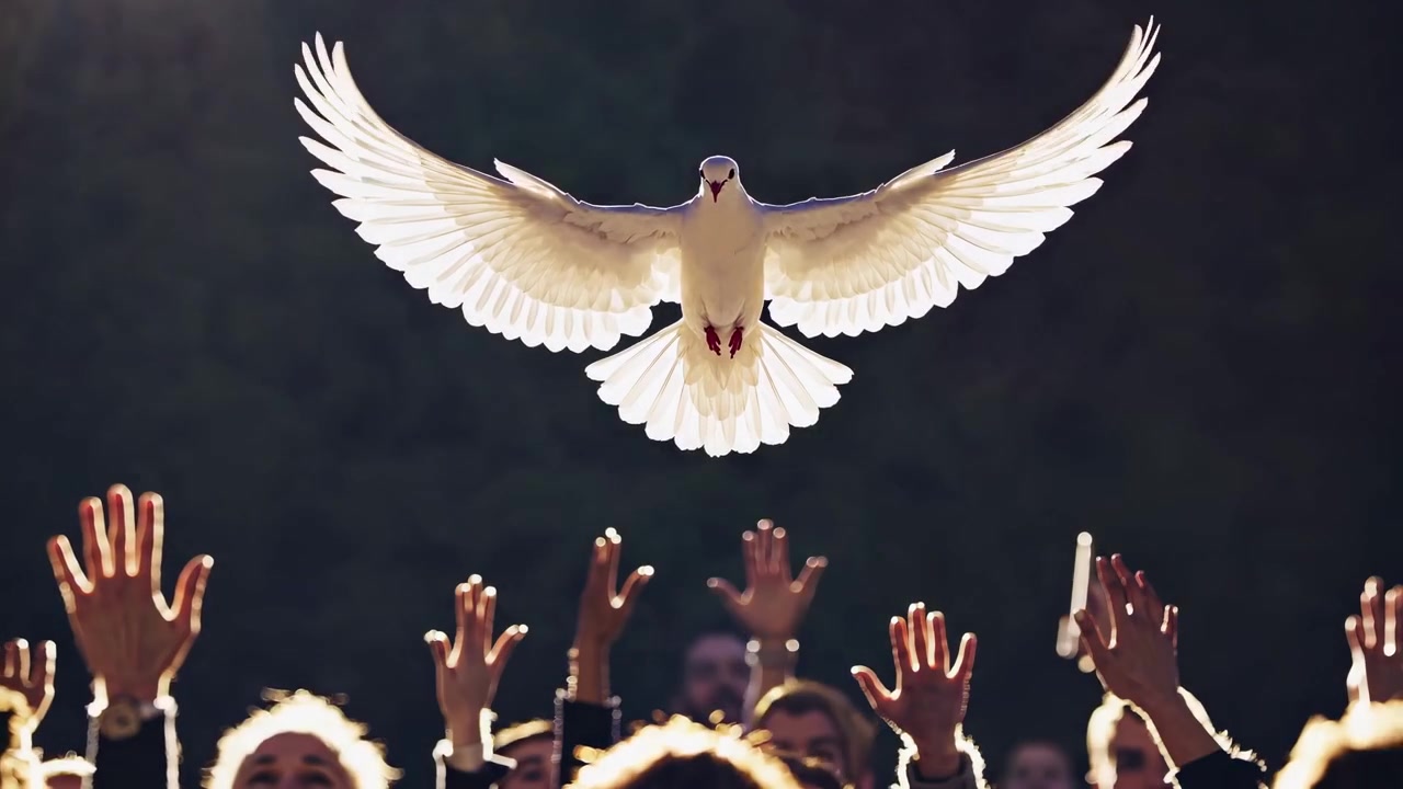 A dove in flight above raised hands, captured from a low angle.